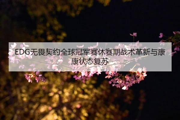 EDG无畏契约全球冠军赛休赛期战术革新与康康状态复苏