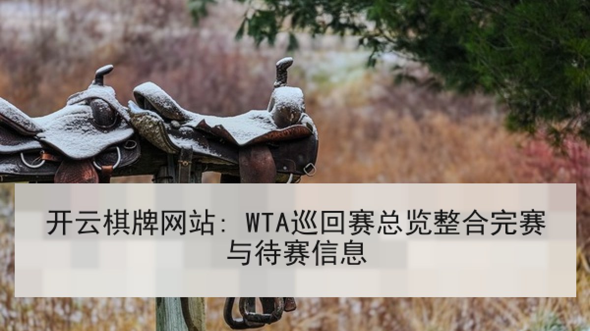 开云棋牌网站: WTA巡回赛总览整合完赛与待赛信息 开云棋牌网站: WTA巡回赛总览整合完赛与待赛信息