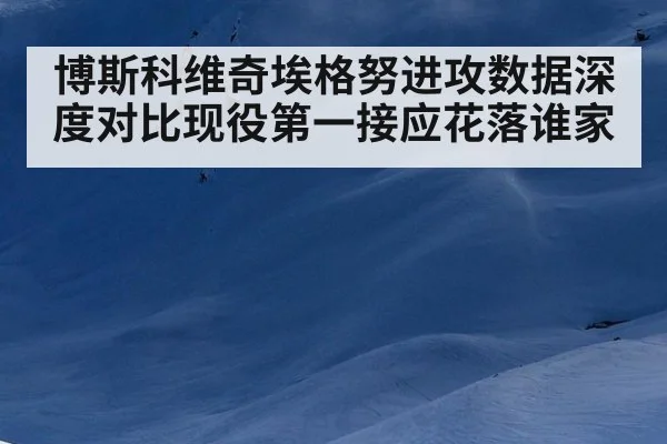 博斯科维奇埃格努进攻数据深度对比现役第一接应花落谁家