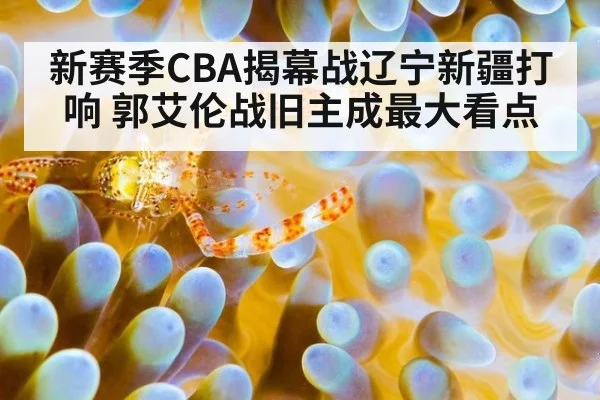 新赛季CBA揭幕战辽宁新疆打响 郭艾伦战旧主成最大看点