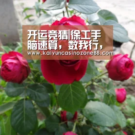开运竞猜|徐工手脑速算，数我行，元你梦，算世界，看徐工