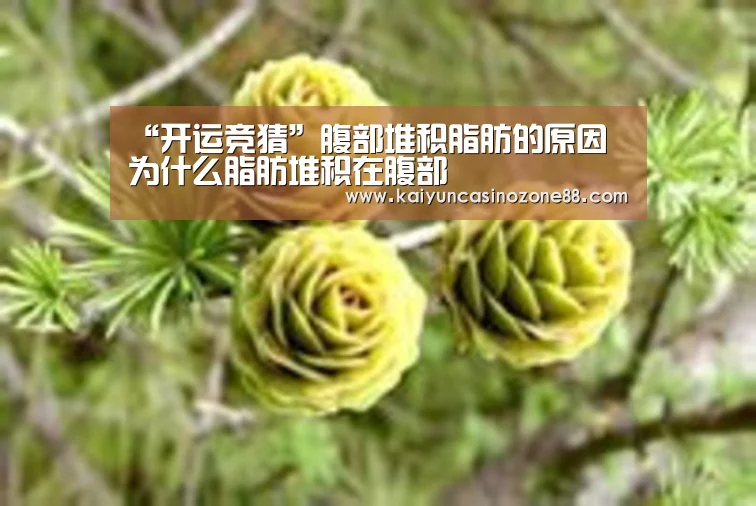 “开运竞猜”腹部堆积脂肪的原因     为什么脂肪堆积在腹部