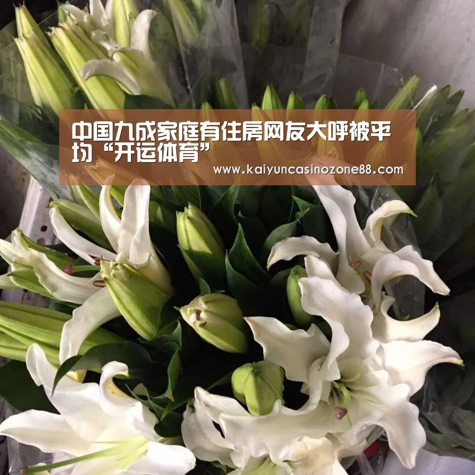 中国九成家庭有住房网友大呼被平均“开运体育”